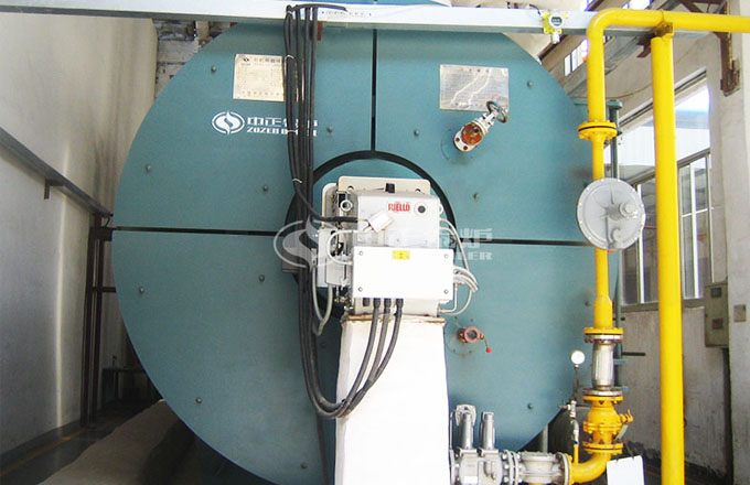 浙江紹興400萬大卡導熱油鍋爐項目