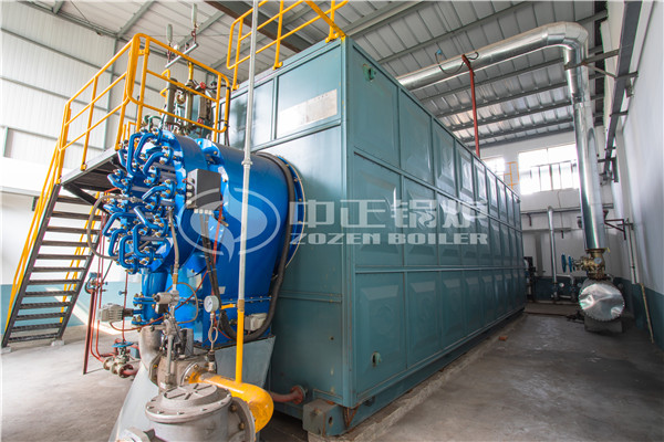 25噸SZS系列天燃?xì)庹羝仩t項(xiàng)目