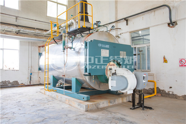 江蘇省南京市3噸天燃?xì)庹羝仩t