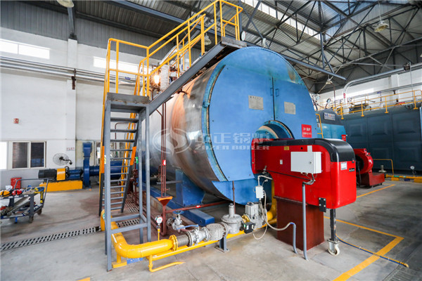 浙江省臺州市6噸天燃氣蒸汽鍋爐