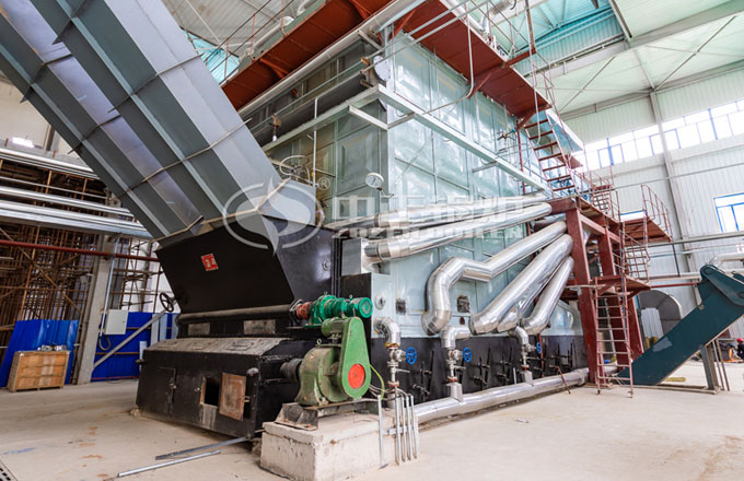 吉林長春25噸燃煤鏈條爐排蒸汽鍋爐項目